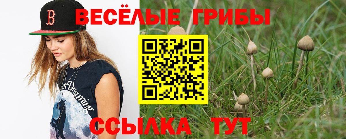 Ликино-Дулёво  Галлюциногенные грибы прущие грибы  Галлюциногенные грибы MAGIC MUSHROOMS  наркотики  Вход с VPN 